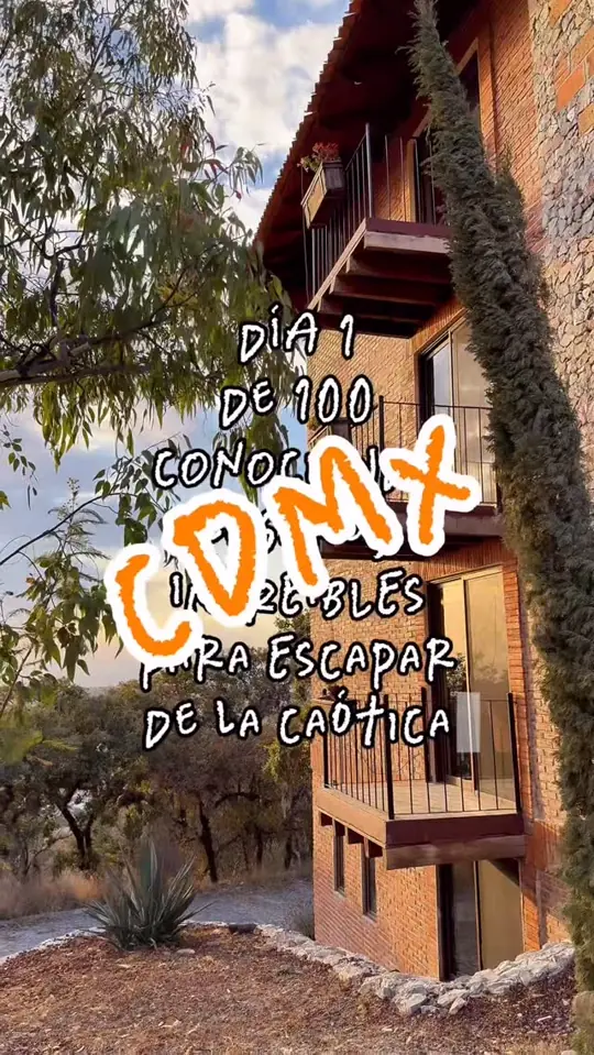 Reel orgánico La Magia del Bosque · cabañas escondidas en bosque de Puebla a 2 horas de CDMX · publicado en @ciendetodo · 261K vistas combinadas IG y TikTok